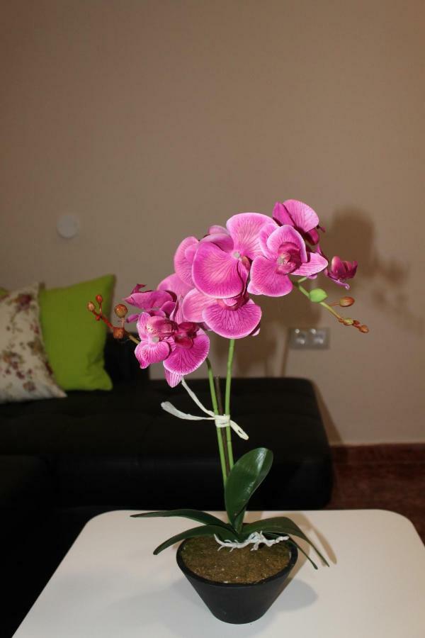 Beautiful Apartment Hercules Costa Del Silencio Exterior foto